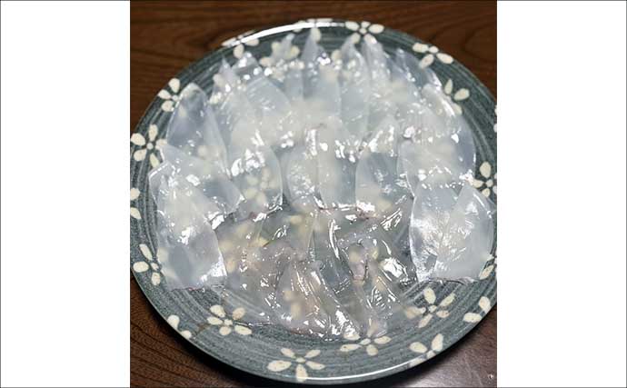 「アジングタックルは万能？」ワンタックルでのアジング＆ヒイカエギングが手軽で面白い