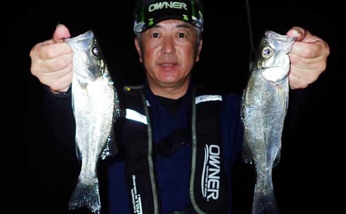 波止での電気ウキ釣りでヒラ＆マルセイゴを連打【熊本・上天草】明暗部で好反応