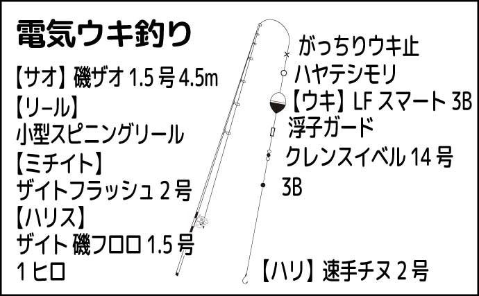 波止での電気ウキ釣りでヒラ＆マルセイゴを連打【熊本・上天草】明暗部で好反応