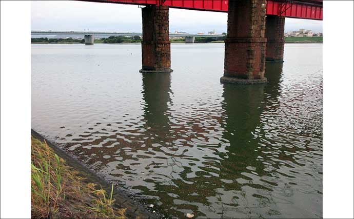 紀ノ川河口の夏ハゼが佳境！15cm級の良型を釣りたいなら干潮時の橋脚が狙い目