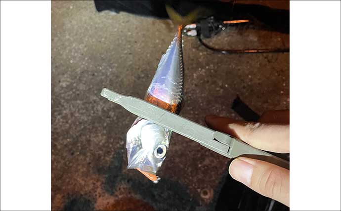 深日港での豆アジング釣行で小サバ地獄【大阪】水温まだ高く本命アジは不発