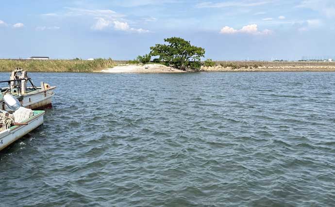 「クロダイも夏バテ気味？」木曽三川河口での落とし込み釣りで42cm良型と対面成功