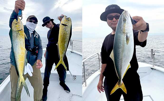 【沖釣りルアー釣果速報】キャスティング便でサワラ痛恨バラシもツバス＆シイラがガツンとヒット（愛知）