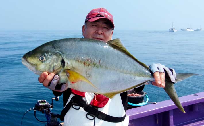 船宿レコード4.42kgシマアジ現る！」大原沖のコマセ五目釣りで船中5尾