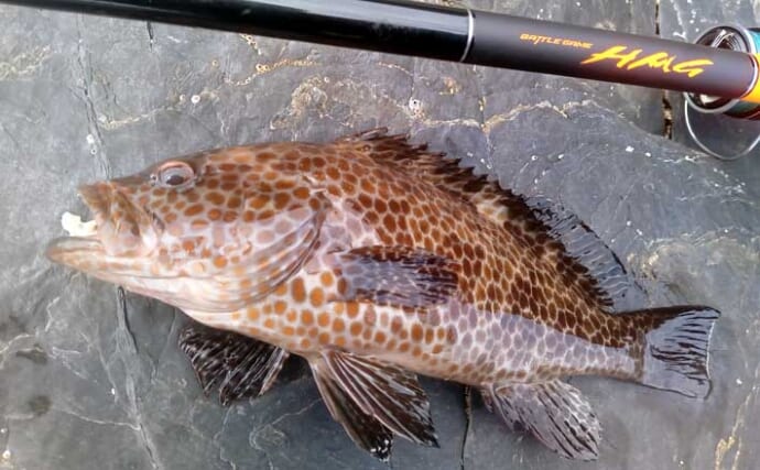 磯の新スタイル「ハイパーマエウチゲーム」で入れ食い！【宮崎】アカハタ35cm級＆オオモンハタ連発