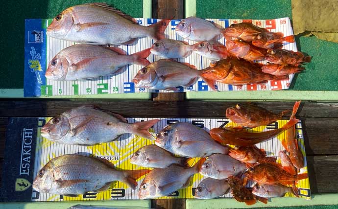 【沖釣り釣果速報】メバチマグロ41.2kg登場！志摩沖のパヤオキャスティング＆エビングで良型続々（三重）