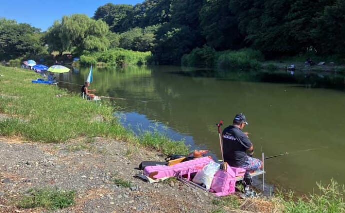 今週のヘラブナ推薦釣り場2025【神奈川・弁天のジャリ穴】