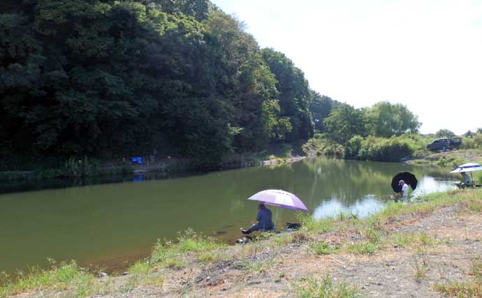 今週のヘラブナ推薦釣り場2025【神奈川・弁天のジャリ穴】