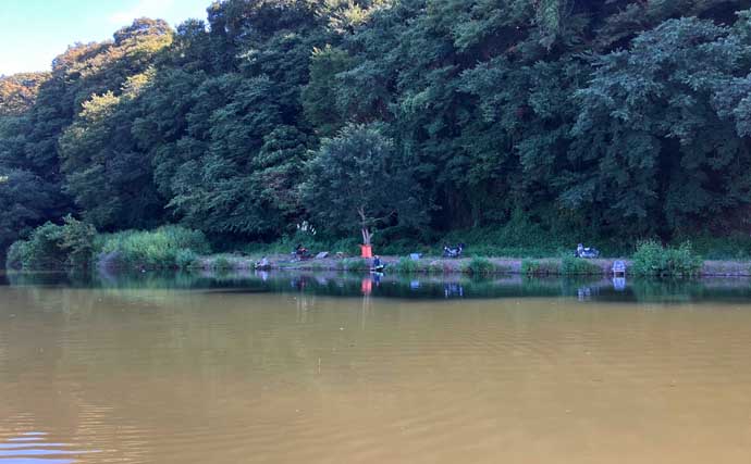 今週のヘラブナ推薦釣り場2025【神奈川・弁天のジャリ穴】