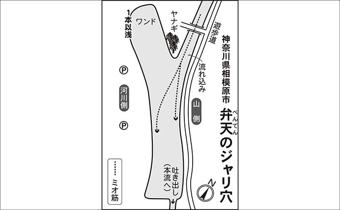 今週のヘラブナ推薦釣り場2025【神奈川・弁天のジャリ穴】