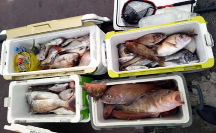 関西エリアの【船釣り特選釣果】40cm超がゴロゴロ！アマラバ便でシロアマダイ船中30匹