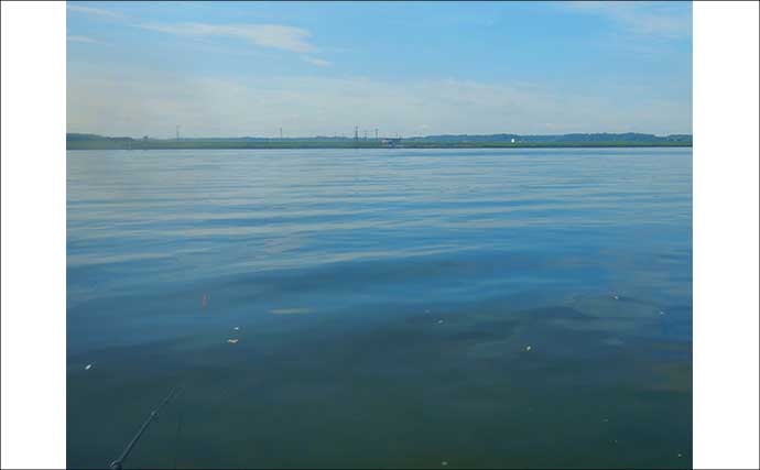 「3ヶ国の魚種をゲット！」常陸利根川でダントウボウ・アメリカナマズ・ボラが連発