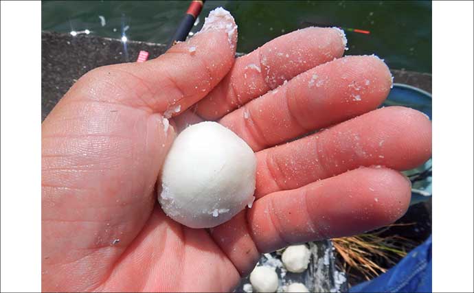 「3ヶ国の魚種をゲット！」常陸利根川でダントウボウ・アメリカナマズ・ボラが連発