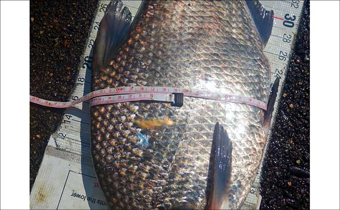 「3ヶ国の魚種をゲット！」常陸利根川でダントウボウ・アメリカナマズ・ボラが連発