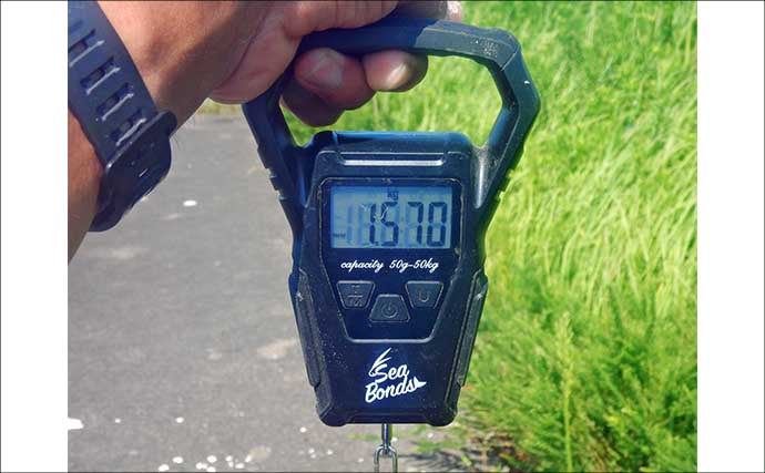 「3ヶ国の魚種をゲット！」常陸利根川でダントウボウ・アメリカナマズ・ボラが連発