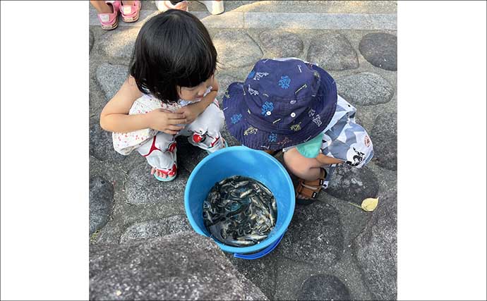 ハゼ釣り大会でマハぜが入れ食い【愛知】ほとんどの参加者が50匹超えの釣果に