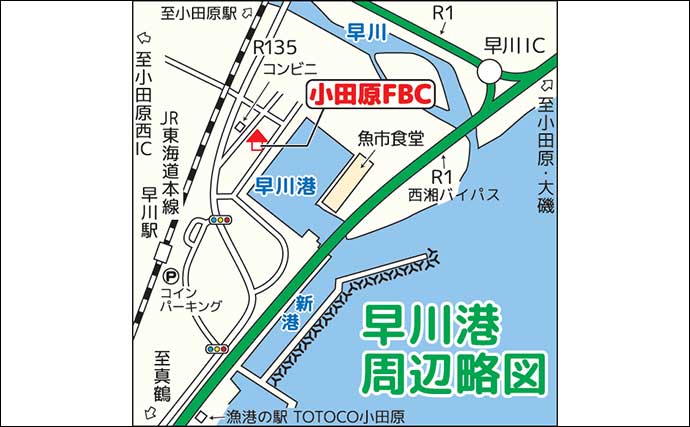 早川港のサビキ釣りで7魚種キャッチ！【神奈川】大雨後の水温低下で魚の活性がアップ