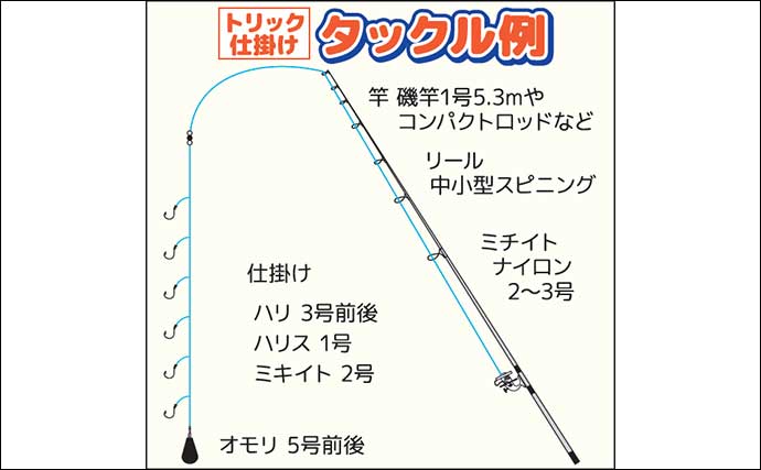 早川港のサビキ釣りで7魚種キャッチ！【神奈川】大雨後の水温低下で魚の活性がアップ