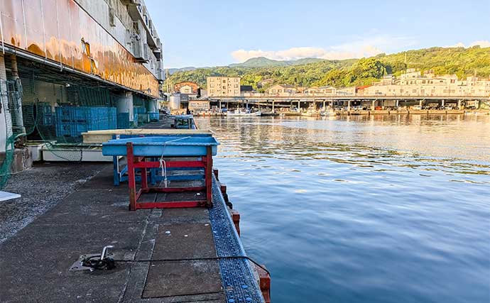 早川港のサビキ釣りで7魚種キャッチ！【神奈川】大雨後の水温低下で魚の活性がアップ