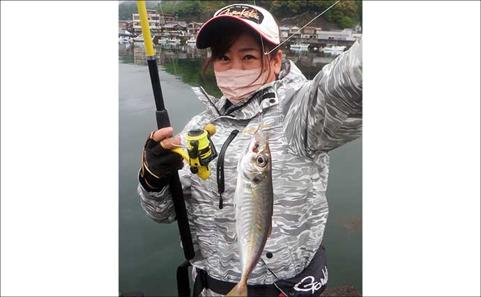 「初心者でも簡単！」サビキ釣りの始め方と便利グッズ完全ガイド