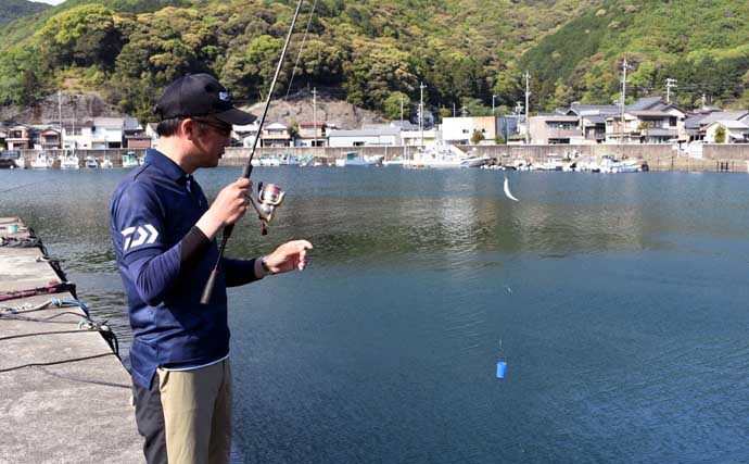 「初心者でも簡単！」サビキ釣りの始め方と便利グッズ完全ガイド