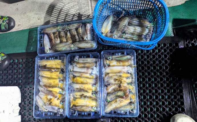 【沖釣り釣果速報】タテ釣りで7kg超マハタ堂々キャッチ＆ヒラマサやマダイも浮上（福井）