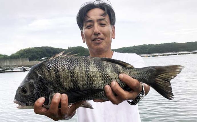 【カカリ釣り釣果速報】年無し53cmキャッチ！クロダイは釣る人31匹と数釣りも好調（三重）