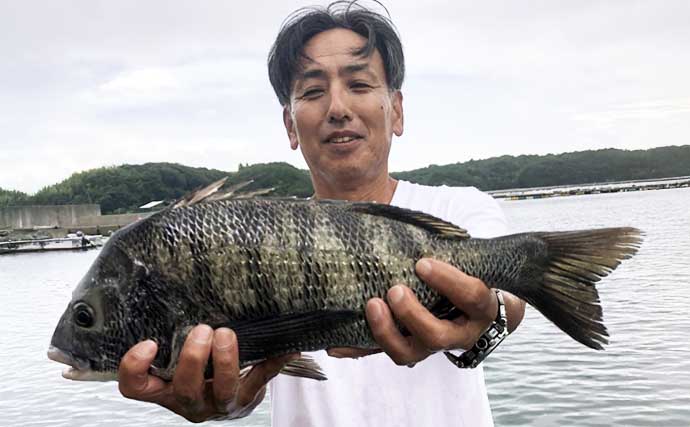 【カカリ釣り釣果速報】年無し53cmキャッチ！クロダイは釣る人31匹と数釣りも好調（三重）