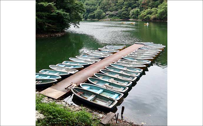 今週の関東ヘラブナ推薦釣り場2025【埼玉県・間瀬湖】