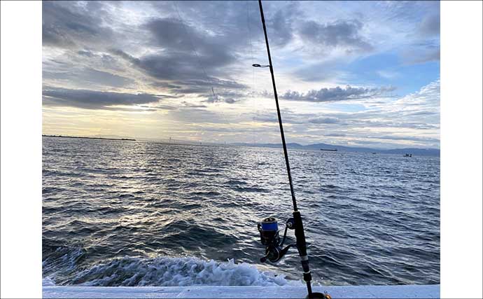 「6時間でサゴシ52匹！驚異の大爆釣！」 時間帯ごとの巻き速度調整が的中【兵庫】