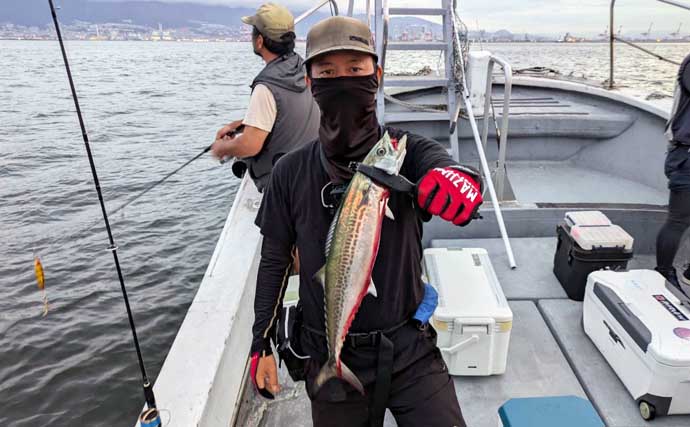 「6時間でサゴシ52匹！驚異の大爆釣！」 時間帯ごとの巻き速度調整が的中【兵庫】
