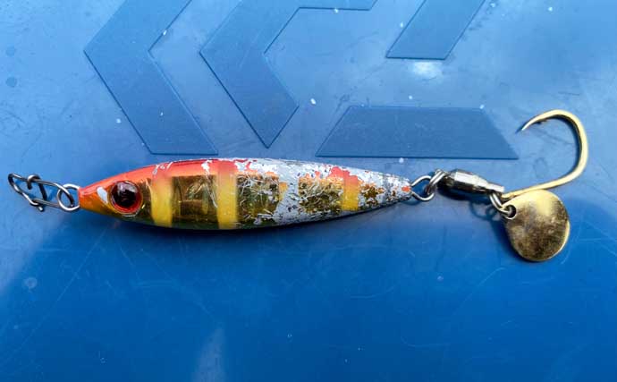 「6時間でサゴシ52匹！驚異の大爆釣！」 時間帯ごとの巻き速度調整が的中【兵庫】