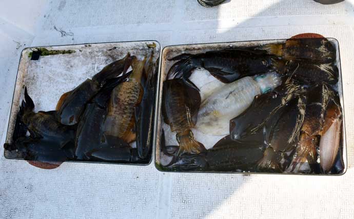 「温暖化で様変わり？」秋のティップランエギング最新攻略法を徹底解説