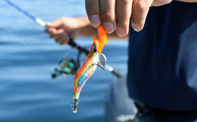 「温暖化で様変わり？」秋のティップランエギング最新攻略法を徹底解説