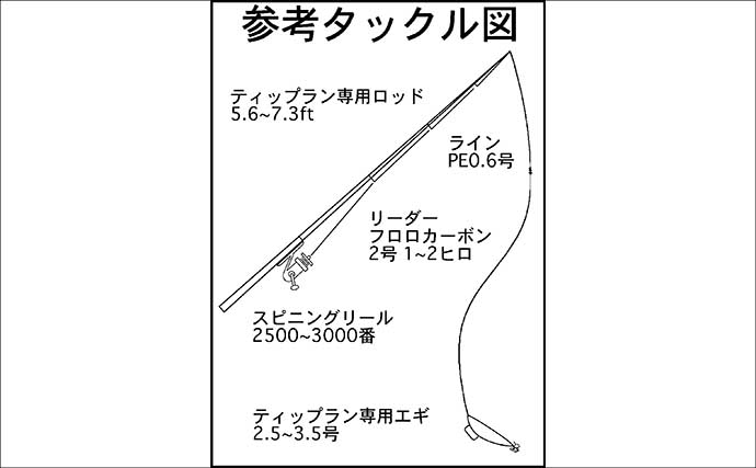 「温暖化で様変わり？」秋のティップランエギング最新攻略法を徹底解説