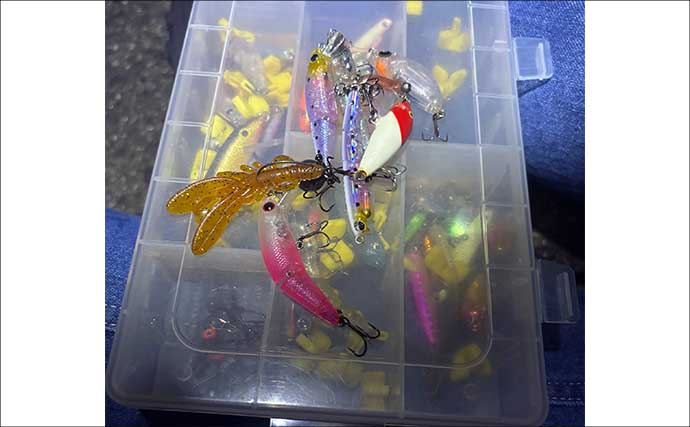 「満月・大潮の釣りは避けた方が良い？」陸っぱりライトゲームで大苦戦【大阪】