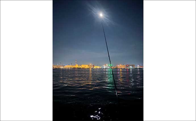 「満月・大潮の釣りは避けた方が良い？」陸っぱりライトゲームで大苦戦【大阪】