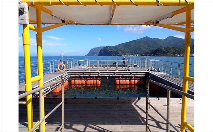 『フィッシングパークTOI』でイサキとメジナを好捕【静岡】イケスの中ではなく外を釣る