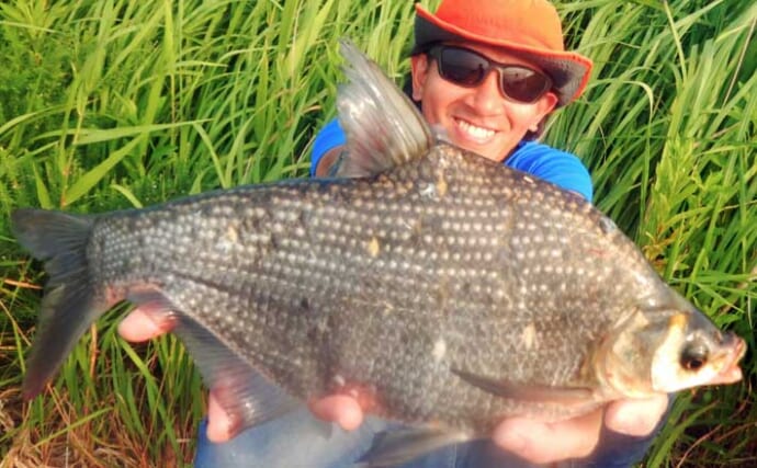 常陸利根川でのウキ釣りでアメリカナマズにダントウボウが連発【茨城】4魚種をキャッチ