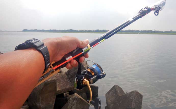 常陸利根川でのウキ釣りでアメリカナマズにダントウボウが連発【茨城】4魚種をキャッチ