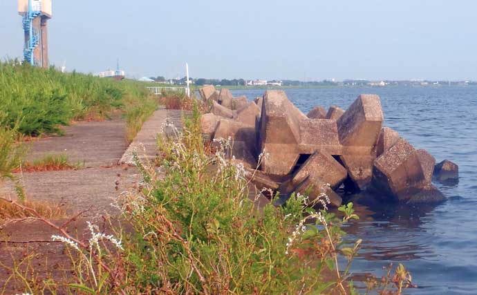 常陸利根川でのウキ釣りでアメリカナマズにダントウボウが連発【茨城】4魚種をキャッチ
