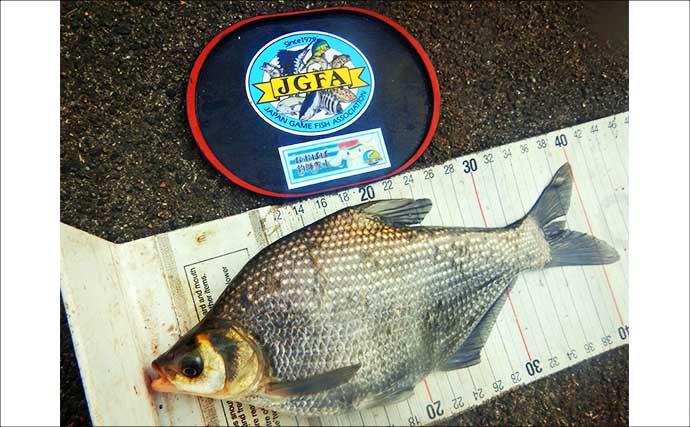 常陸利根川でのウキ釣りでアメリカナマズにダントウボウが連発【茨城】4魚種をキャッチ