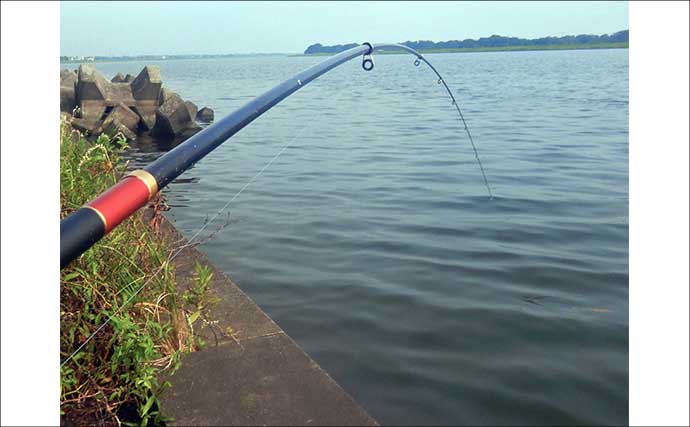 常陸利根川でのウキ釣りでアメリカナマズにダントウボウが連発【茨城】4魚種をキャッチ