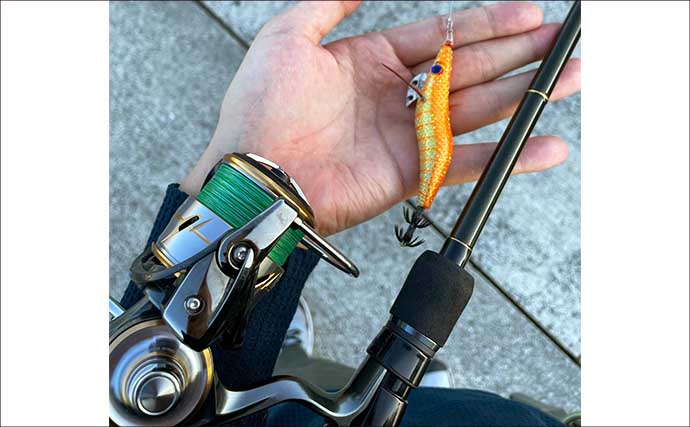 深日港での陸っぱりタチウオゲームで本命不発もジグサビキでボウズ逃れ成功【大阪】