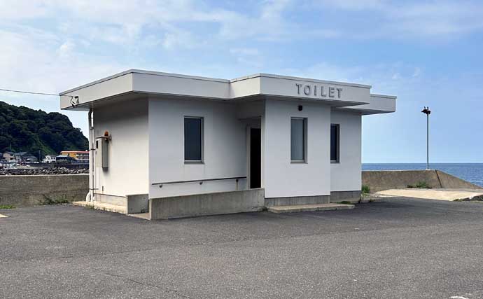 秋シーズン初のヤエン釣りでアオリイカ4杯【福井・茂原人工海水浴場】豆アジでの釣り方も解説