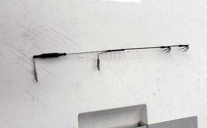 秋シーズン初のヤエン釣りでアオリイカ4杯【福井・茂原人工海水浴場】豆アジでの釣り方も解説