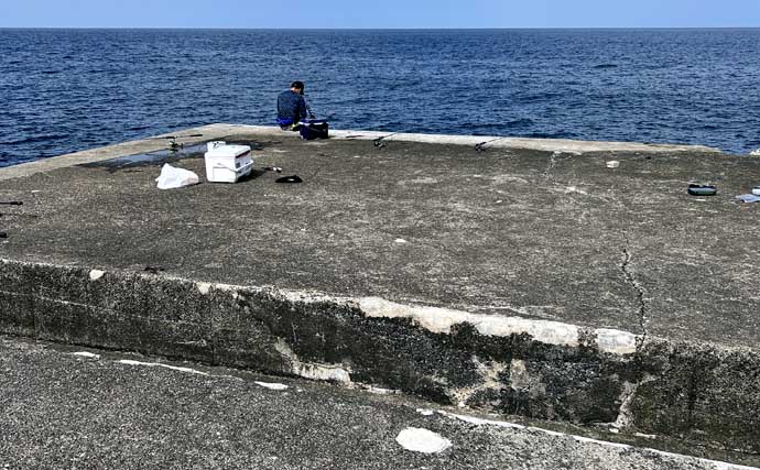 秋シーズン初のヤエン釣りでアオリイカ4杯【福井・茂原人工海水浴場】豆アジでの釣り方も解説