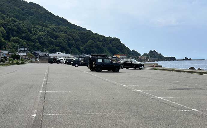 秋シーズン初のヤエン釣りでアオリイカ4杯【福井・茂原人工海水浴場】豆アジでの釣り方も解説