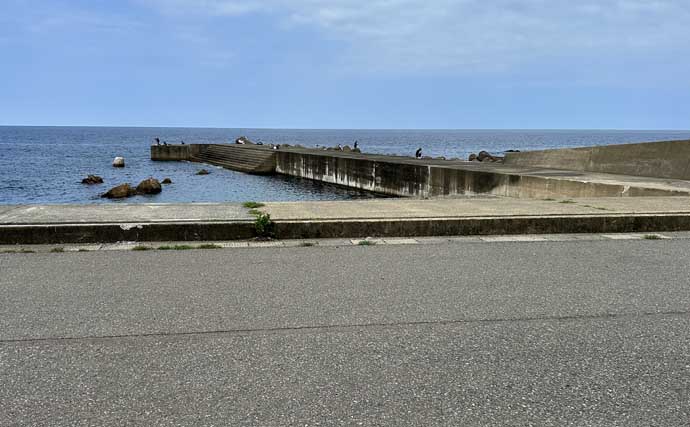 秋シーズン初のヤエン釣りでアオリイカ4杯【福井・茂原人工海水浴場】豆アジでの釣り方も解説