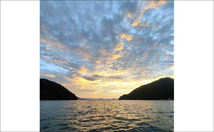 初心者同行のエギング釣行でアテンドに大苦戦【福井】風裏＆明るさの必要性を痛感